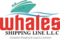 footer-logo