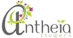 Antheia Flowers LLC