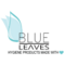blueleaves-logo-600-600-1