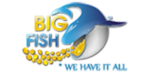 The Big Fish Online Services JLT