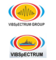Vibspectrum International LLC