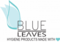 blue-leaves-logo-e1637149950724